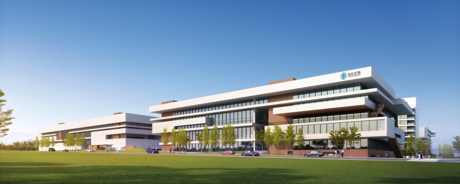 1599035511623682.jpg 3.jpg