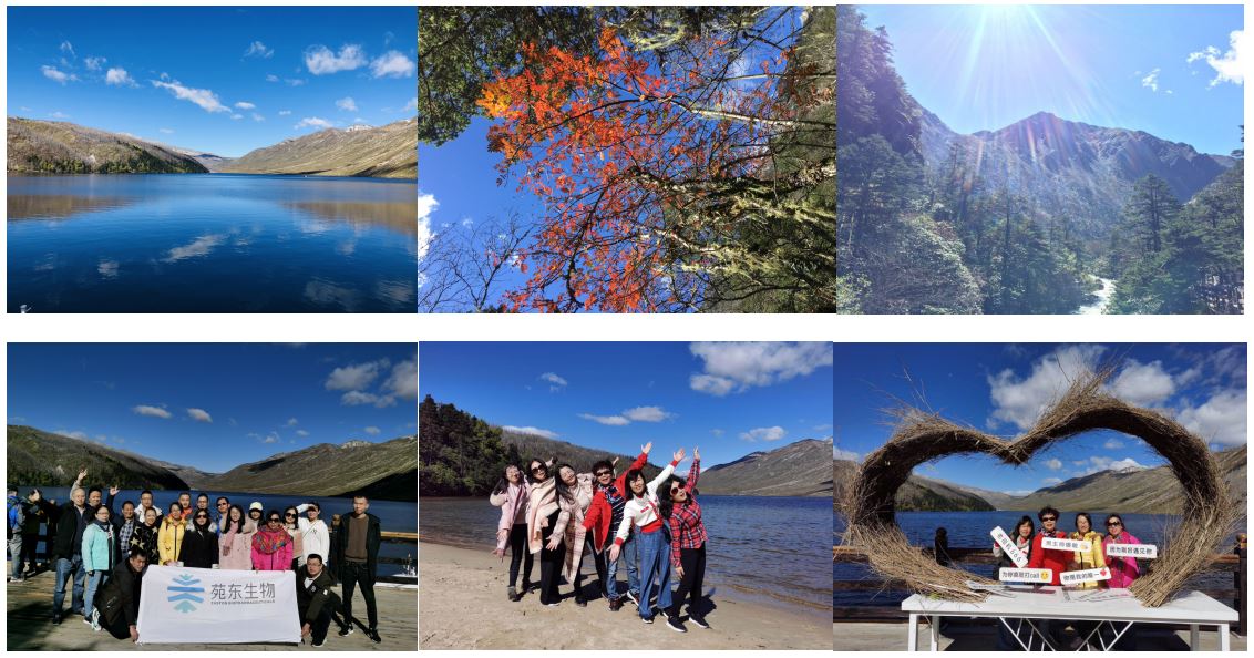 1602726021644181.jpg 3.JPG